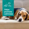 VETALITY HELP HELP COL DOG M - Image 4