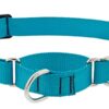 1in Aqua 19-27 Martingale