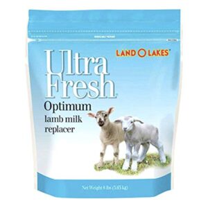 ULTRA FRESH LAMB MILK REP 8#