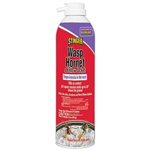 WASP & HORNET FOAM 15 OZ