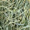 OXBOW ALFALFA HAY 40OZ - Image 2