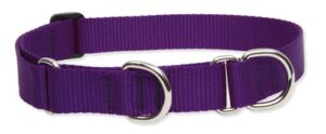 1in Purple 15-22 Martingale