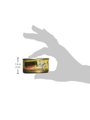 FUSSIE CAT CKN GRAVY 2.82OZ