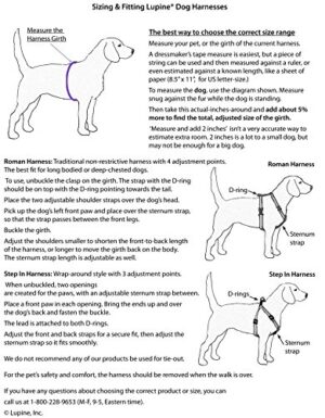 1in Rain Song 19-28 Step In Hrns