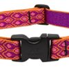1in Alpen Glow 16-28 Adj Collar