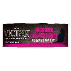VICTOR CAT CKN 5.5OZ