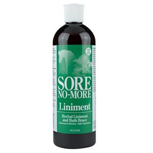 SORE NO MORE LINIMENT 16OZ