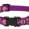 3/4" ROSE GARDEN 9-14 ADJ COLLAR - Image 2