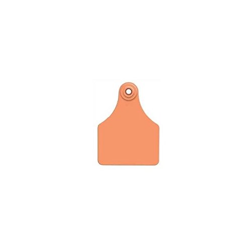 ALLFLEX ORANGE BLANK LG TAG - Image 5