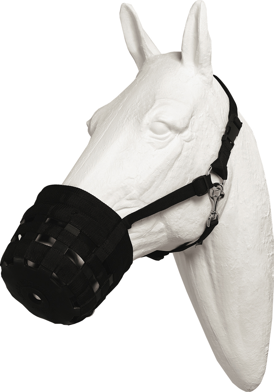 BF DELUXE GRAZING MUZZLE LG HORS