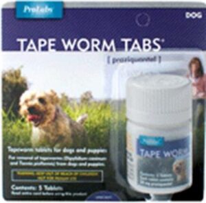 COLLAR ECO 10-16" ADJ (S) TS