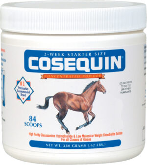 COSEQUIN EQUINE POWDER 280GM