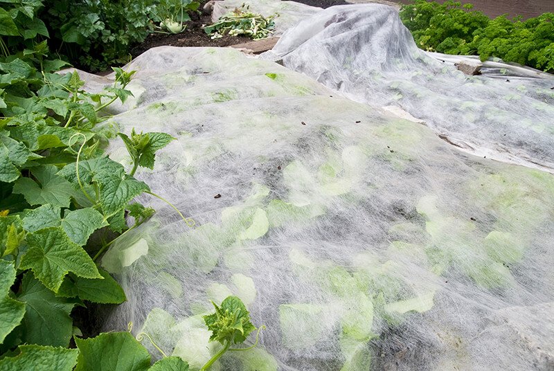 FROST PROTECT WHT 40X50FT - Image 2