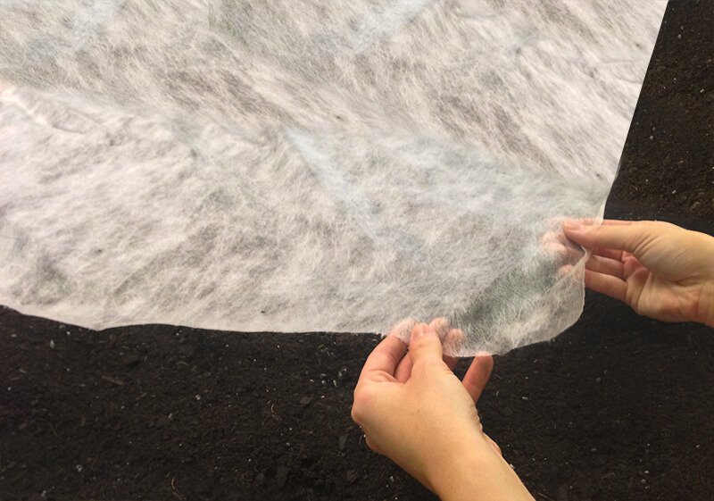 FROST PROTECT WHT 40X50FT - Image 3