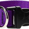 1in Purple 16-28 Adj Collar