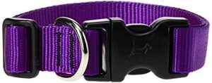 1in Purple 16-28 Adj Collar