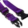 1in Purple 16-28 Adj Collar - Image 2