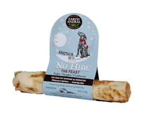 EA NO HIDE HOLIDAY 7"