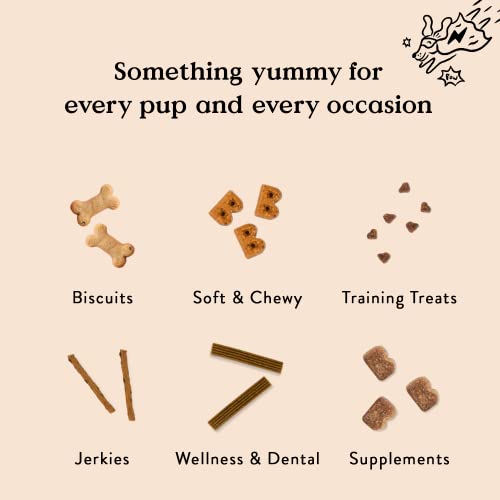 BOCCE BERRY DOG BISC 12OZ - Image 6