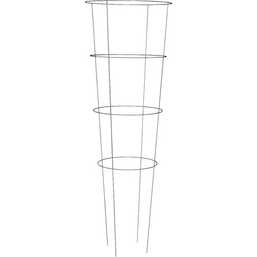 TOMATO CAGE 54IN PROF GALV
