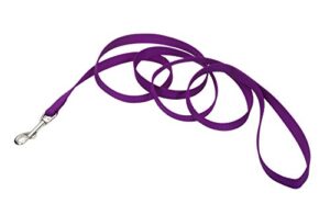 SINGLE PLY DOG LEASH PRPL 6'