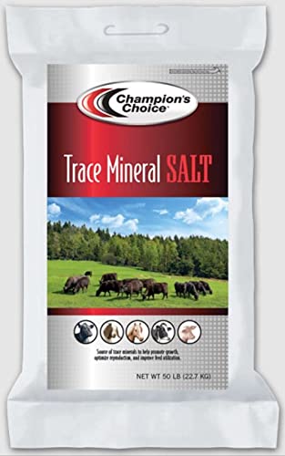 TRACE MINERAL SALT 50 LB BAG