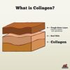 REDBARN COLLAGEN STICK LG - Image 4