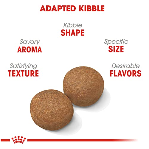 RC HEALTH ADULT LG 35LB - Image 4