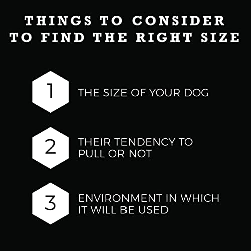 DAYDREAM DOG LEASH 5/8" 4FT - Image 3