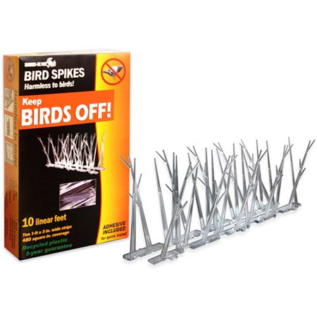 BIRD SPIKES PLASTIC 10FT