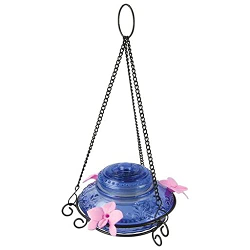 ILLUM ANTIQUE HUMMNGBRD FDR