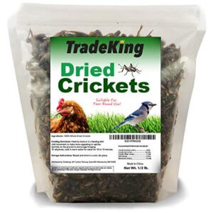 TRADEKING DRIED CRICKET 8OZ