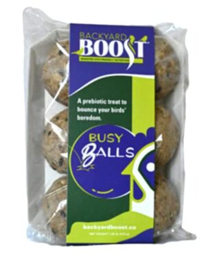 BUSY BALLS BYB CHICKEN TOY