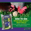 BUSY BALLS BYB CHICKEN TOY - Image 4