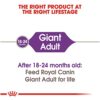 RC GIANT ADULT 30LB - Image 5