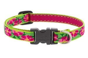 1/2in Petunias 10-16 Adj Collar