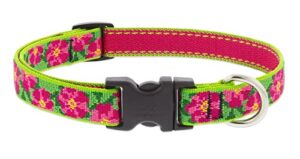3/4in Petunias 9-14 Adj Collar