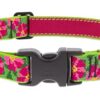 1in Petunias 16-28 Adj Collar