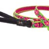 1/2in Petunias 6ft Leash