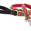 1in Petunias 6ft Leash