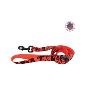 COASTAL 1" X 6' LEASH ASST