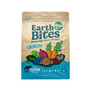 EARTHBITES GF TRT SALMON 2LB