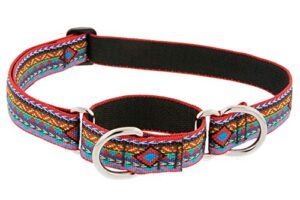 1in El Paso 19-27 Martingale