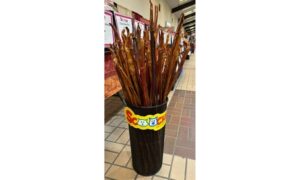 SCOOCHIE BULLY STICK 36"