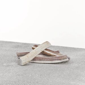 PRIMAL DOG ELK ANTLER LG