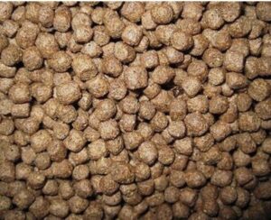 AQUAMAX 500 SPORTFISH 50LB