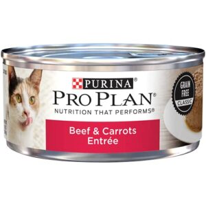 PRO PLAN BEEF CARROT 5.5OZ