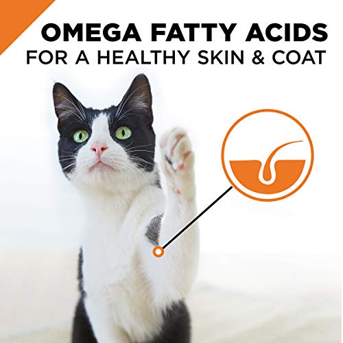 PRO PLAN BEEF CARROT 5.5OZ - Image 2