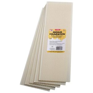 BEEHIVE FOUNDATION MED 5PK