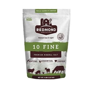 REDMOND 10 FINE SALT 5#
